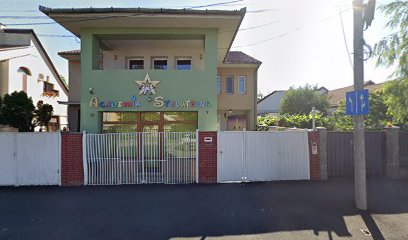 Academia Stelutelor