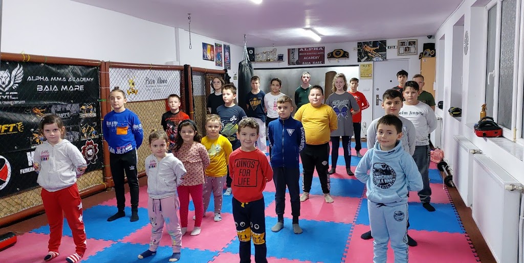 ALPHA MMA Academy Baia Mare