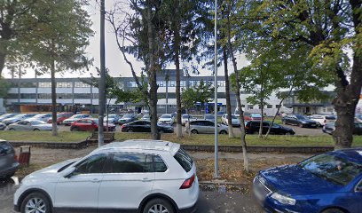 Aria Academy Pascani