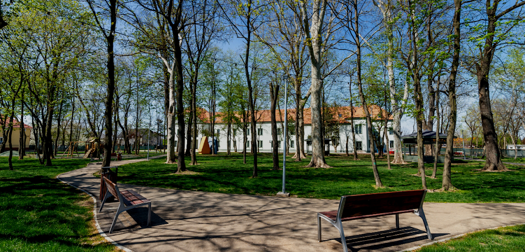 British International School