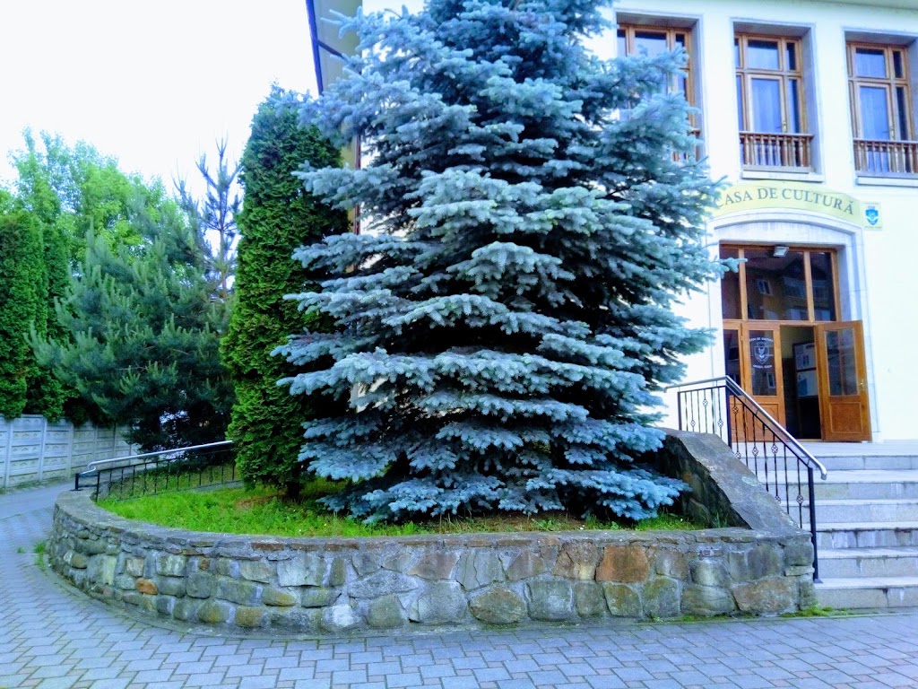 Centrul Cultural Cugir Centrul Cultural Cugir