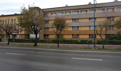 Centrul Scolar pentru Educatie Incluziva "Elena Doamna"