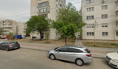 Chestionare Auto Chestionare Auto