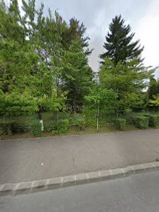 CLUBUL COPIILOR CÂMPINA