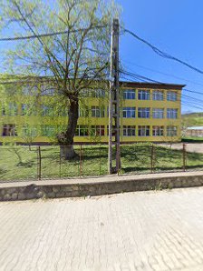 Colegiul Naţional de Informatică "Carmen Sylva" din Petroşani Colegiul Naţional de Informatică "Carmen Sylva" din Petroşani