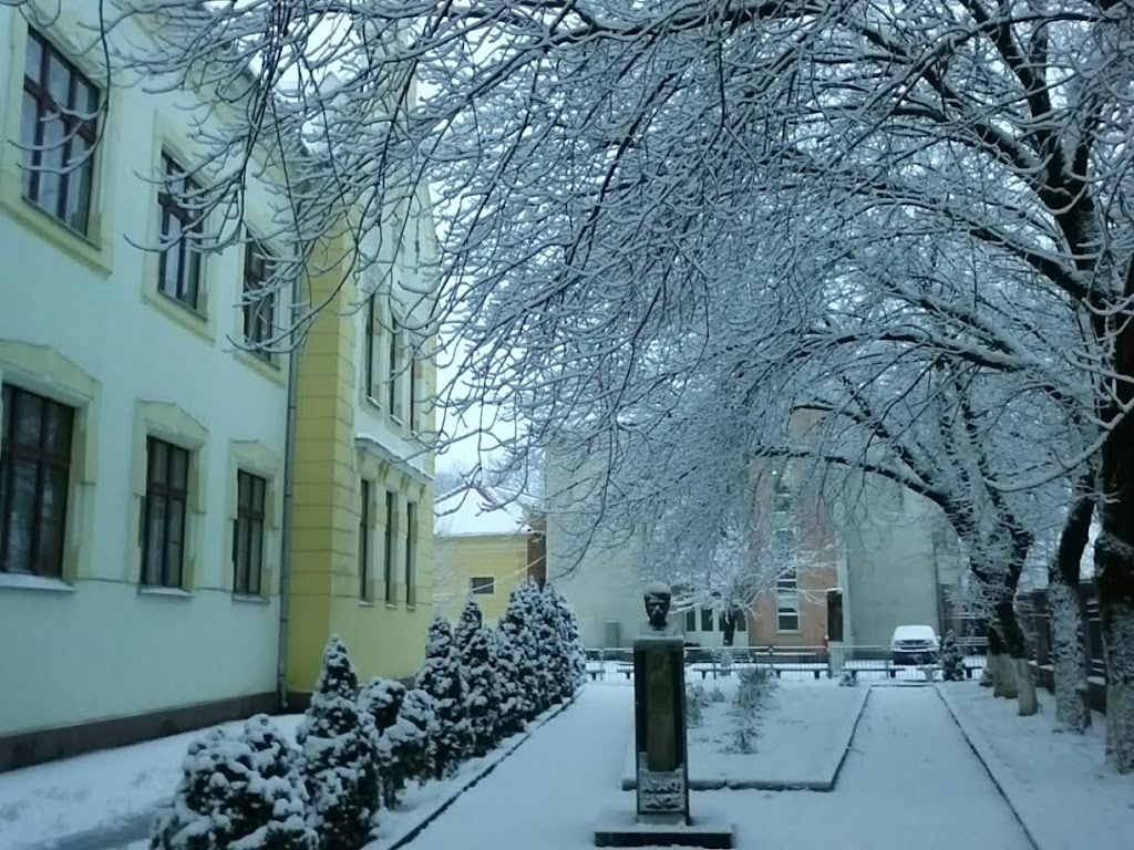 Colegiul Național Teodor Neș Salonta Colegiul Național Teodor Neș Salonta