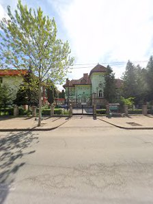 Colegiul Tehnic Forestier