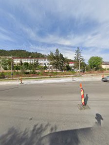 Colegiul Tehnic "Gheorghe Cartianu"