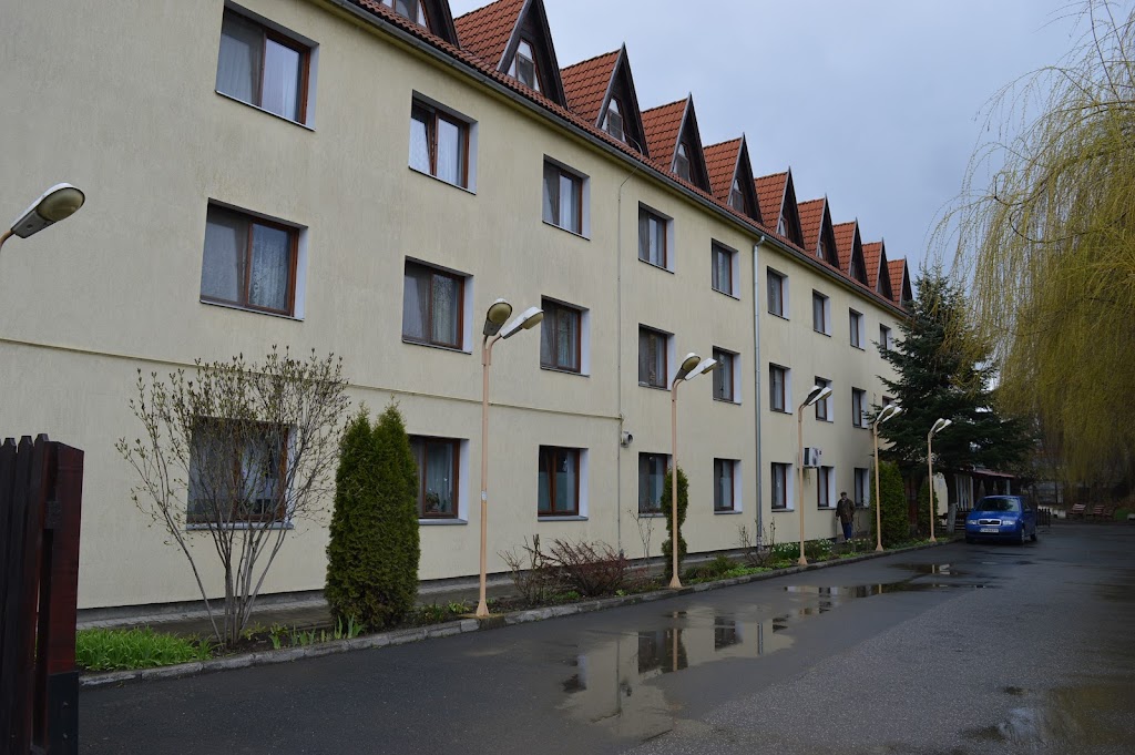 Complex Zathureczky Berta Complex Zathureczky Berta