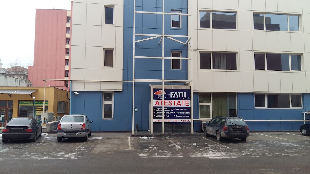 FATII - ARTRI SĂLAJ FATII - ARTRI SĂLAJ