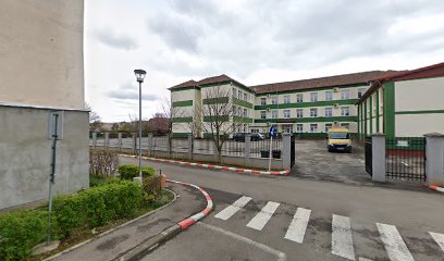 Gimnaziala „Dominic Stanca”