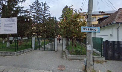 Gimnaziala „Radu Selejan” Gimnaziala „Radu Selejan”