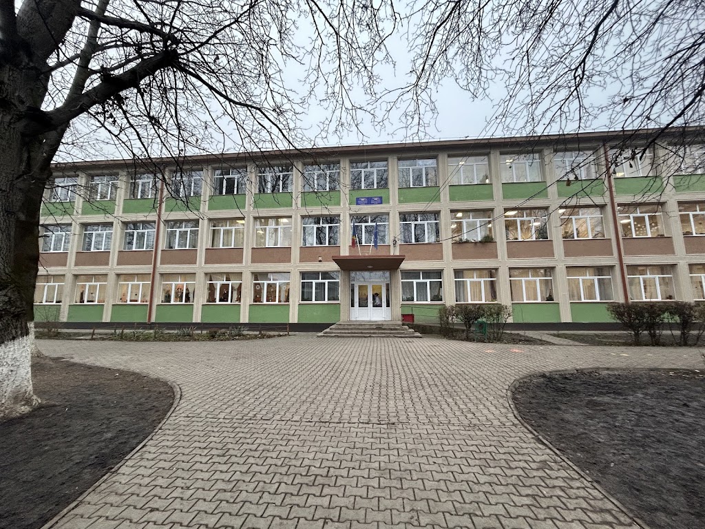 Gimn.N Balcescu-Scoala Waldorf Targu Mures