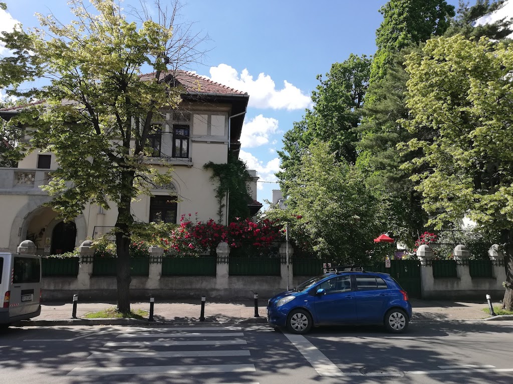 Grădinița Analesia