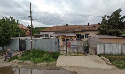 Grădinița "Castelul Copiilor" Grădinița "Castelul Copiilor"