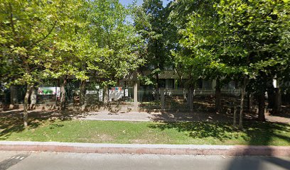 Grădinița-Scoala Gimnaziala nr.88
