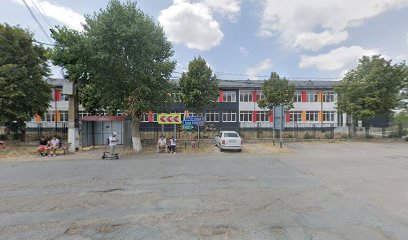 LICEUL TEORETIC NEGRU VODĂ