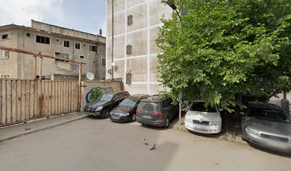 Lupii Albastri