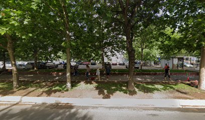 Meditatii limba Germana Bucuresti