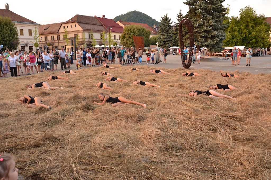 Rivulus Dance Baia Mare Rivulus Dance Baia Mare