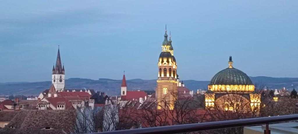 Romanian Language institute of Sibiu Romanian Language institute of Sibiu