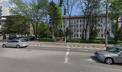 Școala Artei „Ion Irimescu”