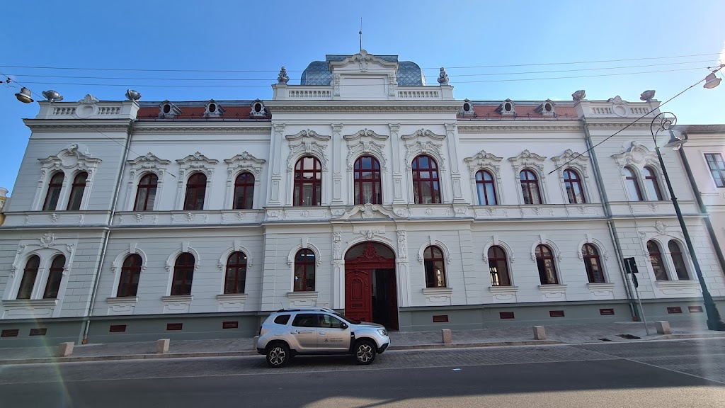 Școala De Arte Francisc Hubic