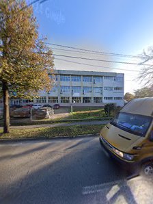 Scoala de Limbi Straine ALPHALINGUA Scoala de Limbi Straine ALPHALINGUA