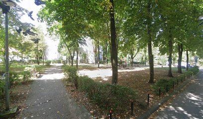 Şcoala de Şoferi Niko Şcoala de Şoferi Niko