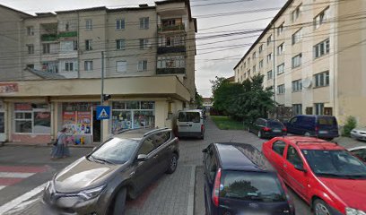 Școala de șoferi Profesional Auto