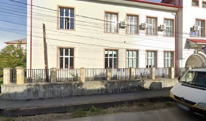 ŞCOALA GENERALĂ JOSENII BÂRGĂULUI ŞCOALA GENERALĂ JOSENII BÂRGĂULUI