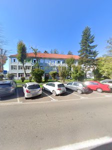 Şcoala Gimnazială Europa / Európa Általános Iskola