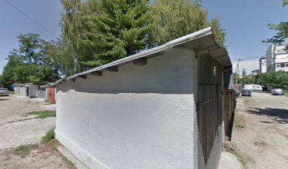 Şcoala Gimnazială "George Bacovia" Şcoala Gimnazială "George Bacovia"