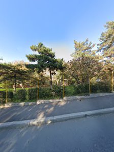 Școala Gimnazială "Ion Luca Caragiale" Școala Gimnazială "Ion Luca Caragiale"