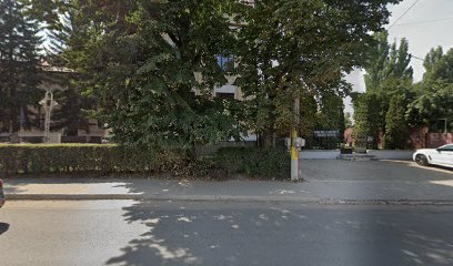 Şcoala Gimnazială "Iorgu Radu" Şcoala Gimnazială "Iorgu Radu"