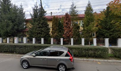 Școala Gimnazială "Lucian Blaga" Baia Mare - sediul 2