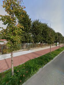 Şcoala Gimnazială "Mihai Peia" Şcoala Gimnazială "Mihai Peia"