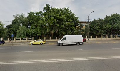 Școala Gimnazială „Nicolae Romanescu” Școala Gimnazială „Nicolae Romanescu”