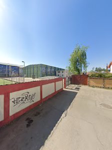 Școala Gimnazială Numărul 7 Școala Gimnazială Numărul 7