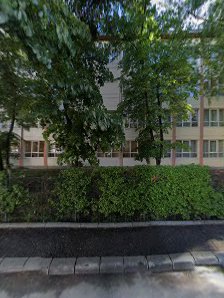 Școala Gimnazială "Ștefan Cel Mare"