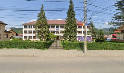 Școala Gimnazială Teodor V. Ștefanelli Școala Gimnazială Teodor V. Ștefanelli