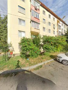 Școala Gimnazială Tudor Vladimirescu Școala Gimnazială Tudor Vladimirescu