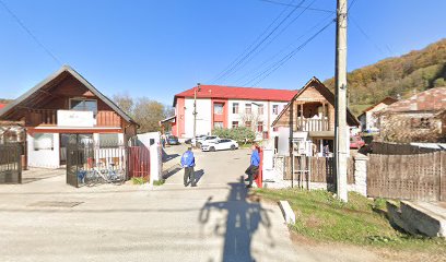 ŞCOALA MICEŞTI ŞCOALA MICEŞTI
