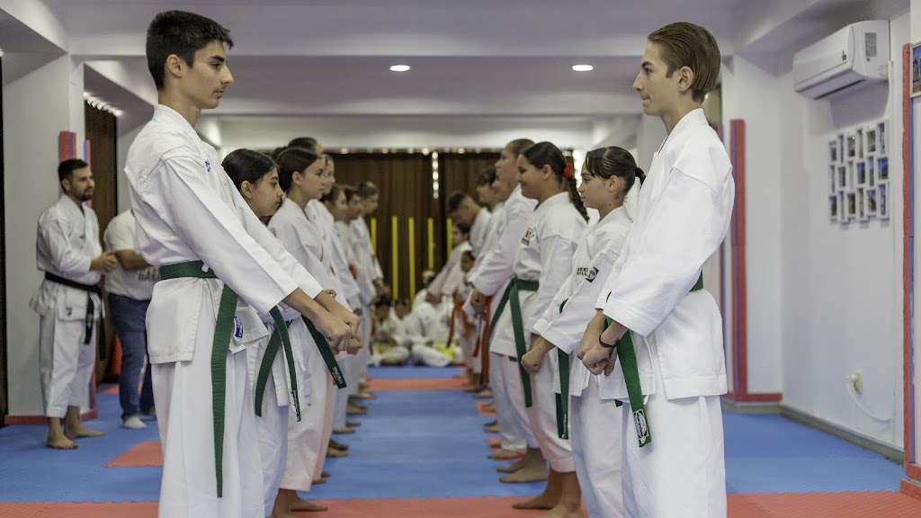 Vikingii Albi Karate Târgu Jiu